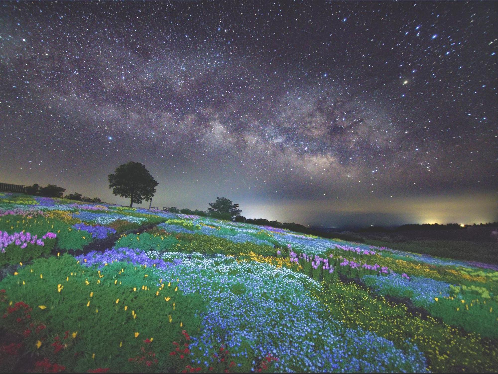 くじゅう花公園　キャンピングリゾート花と星 Kuju Exteriér fotografie