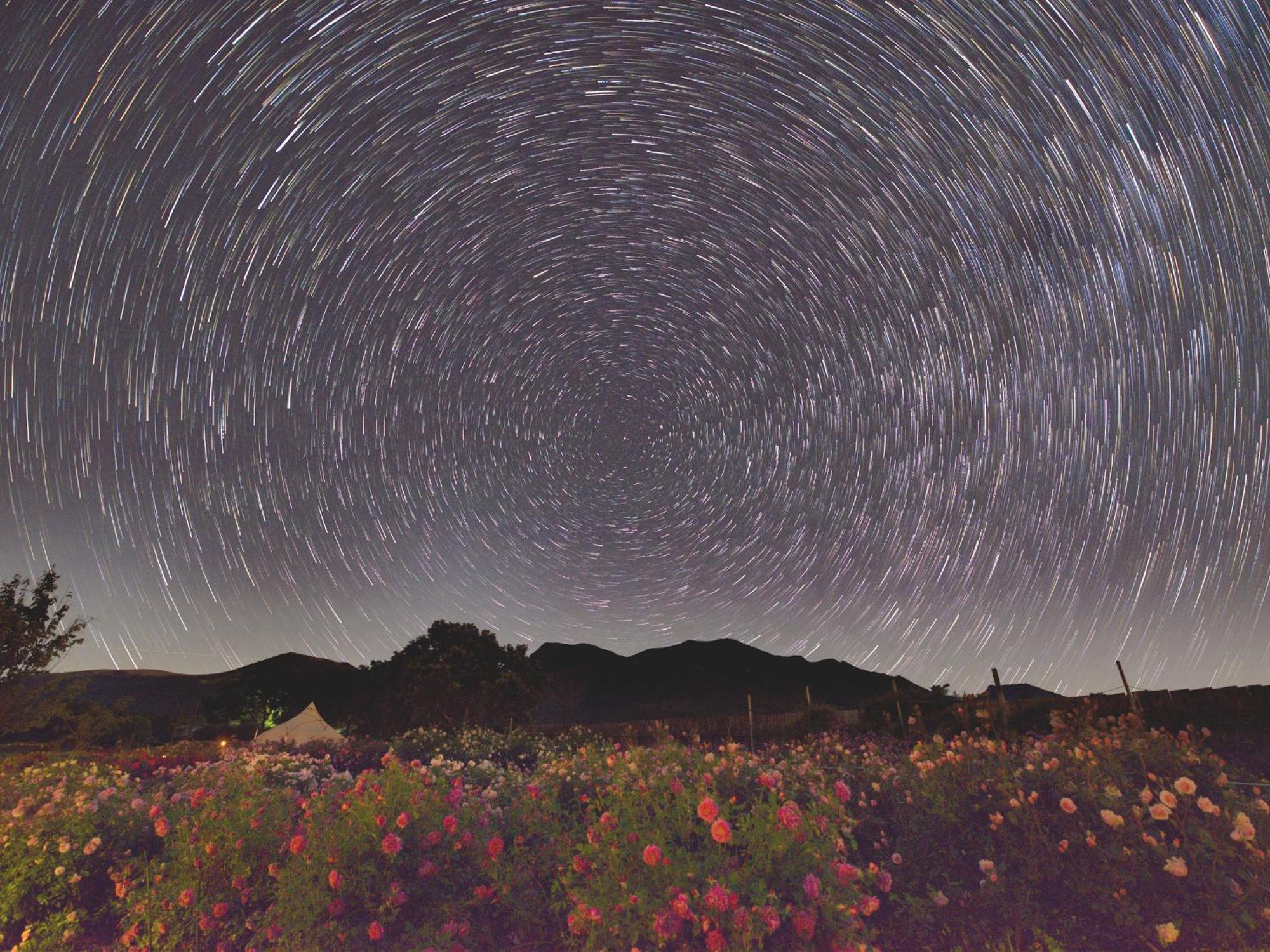 くじゅう花公園　キャンピングリゾート花と星 Kuju Exteriér fotografie