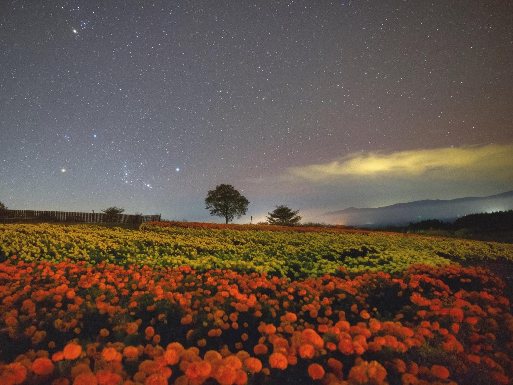 くじゅう花公園　キャンピングリゾート花と星 Kuju Exteriér fotografie