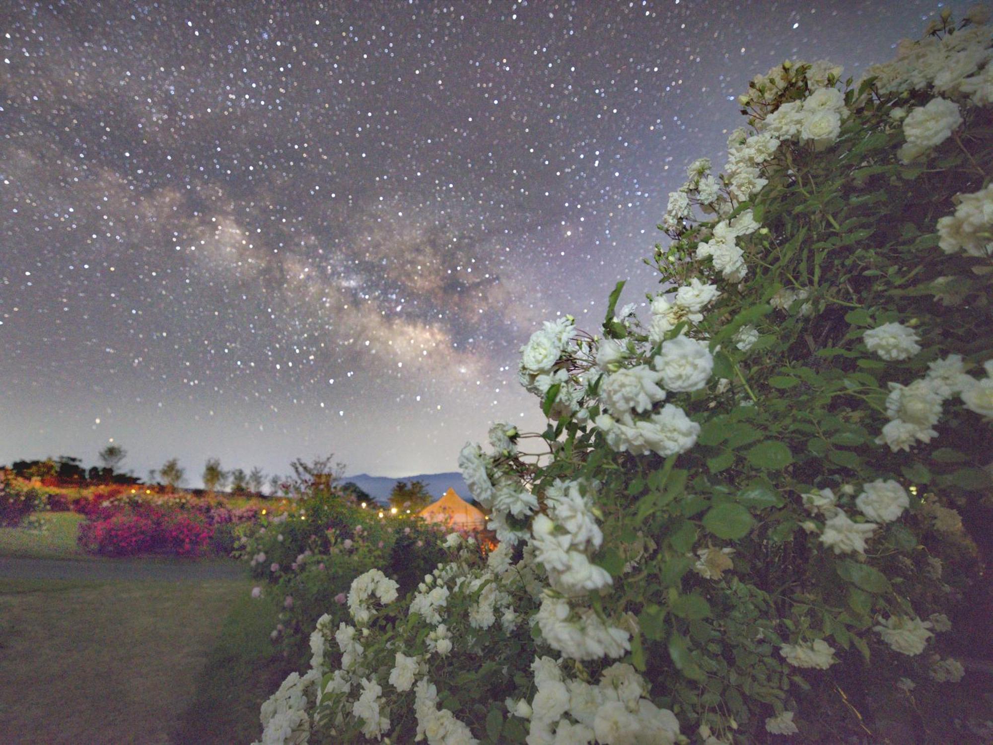 くじゅう花公園　キャンピングリゾート花と星 Kuju Exteriér fotografie