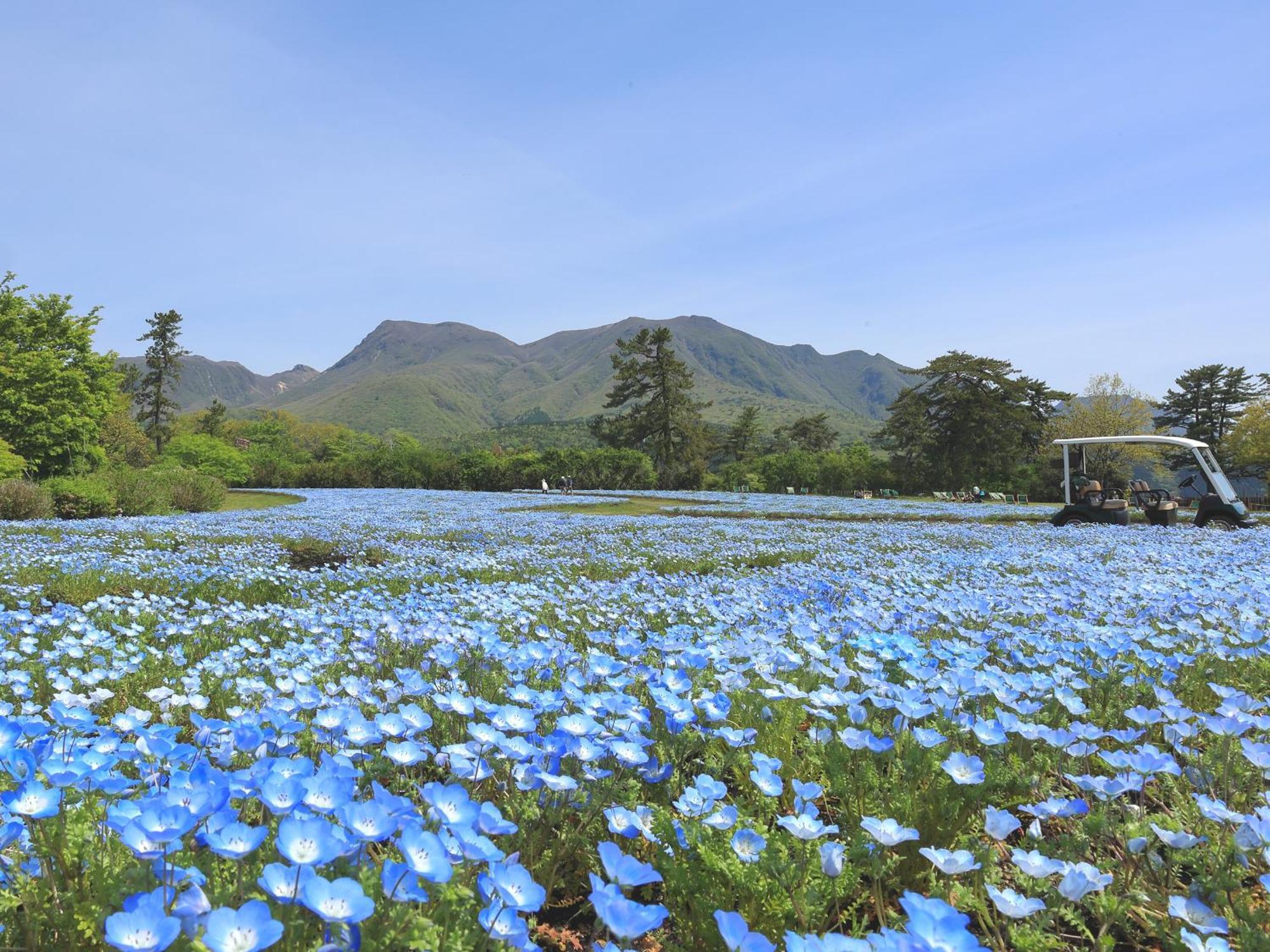 くじゅう花公園　キャンピングリゾート花と星 Kuju Exteriér fotografie