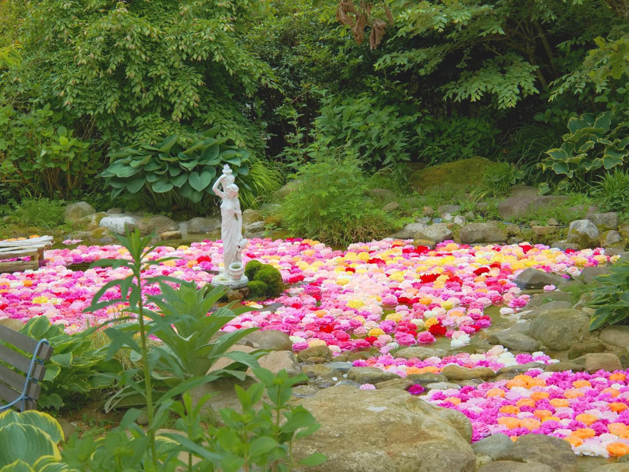 くじゅう花公園　キャンピングリゾート花と星 Kuju Exteriér fotografie