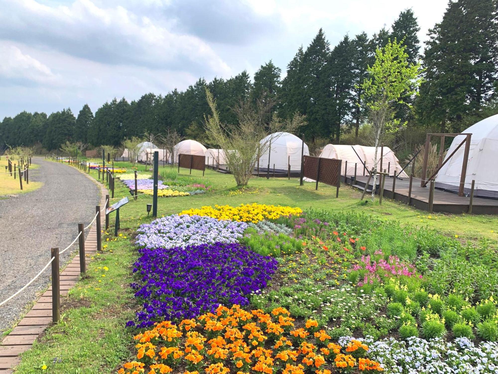 くじゅう花公園　キャンピングリゾート花と星 Kuju Exteriér fotografie