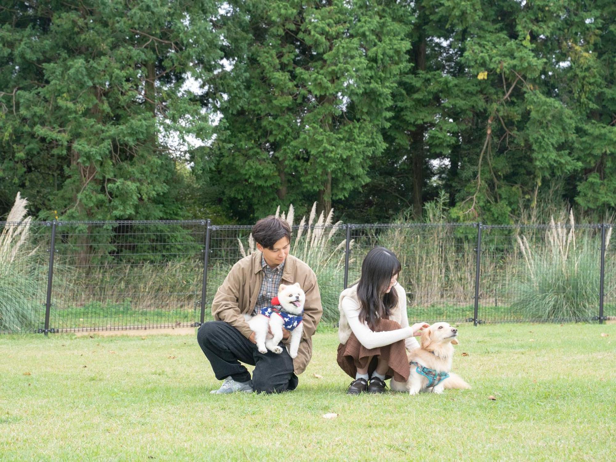 くじゅう花公園　キャンピングリゾート花と星 Kuju Exteriér fotografie