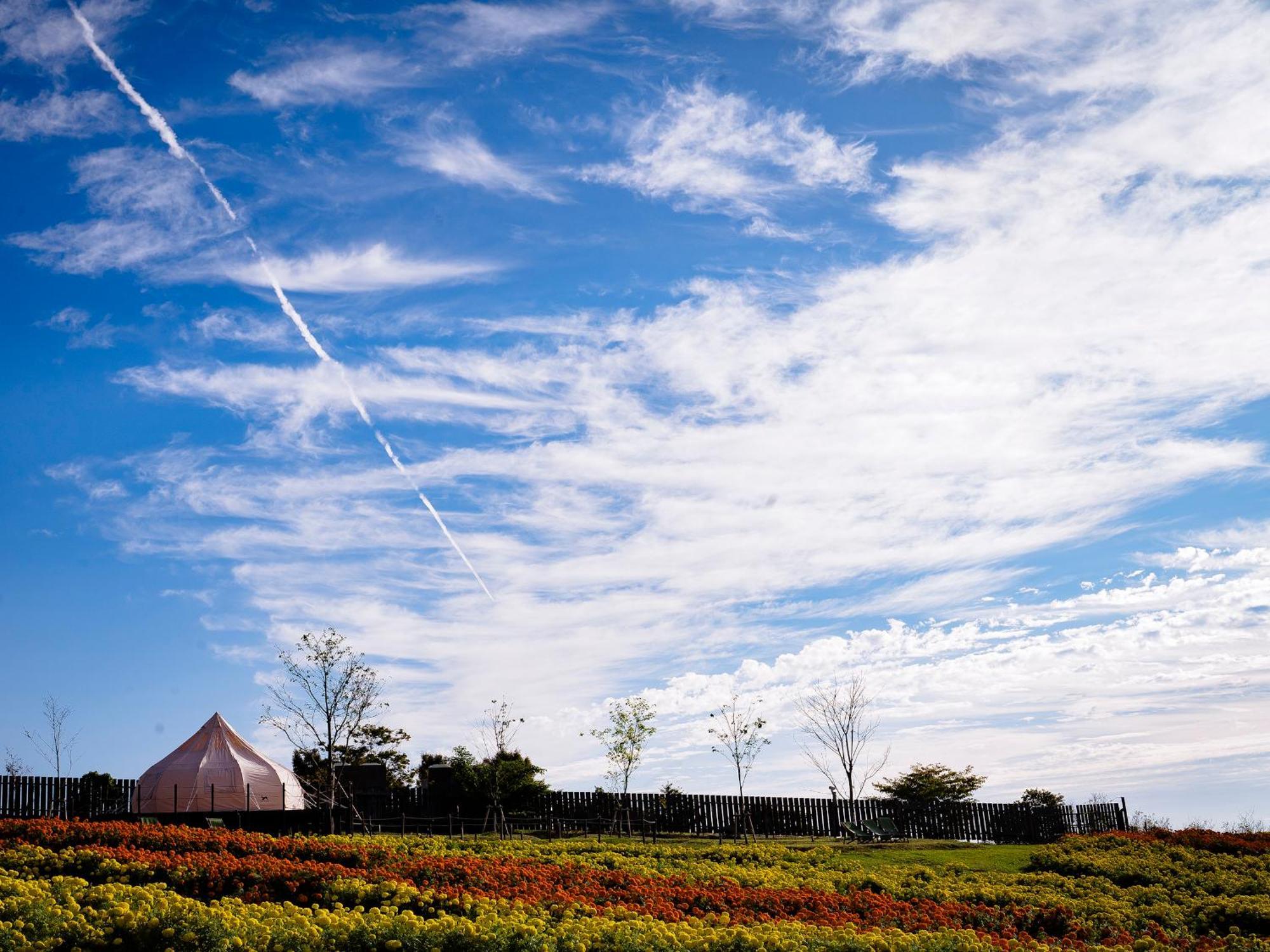 くじゅう花公園　キャンピングリゾート花と星 Kuju Exteriér fotografie