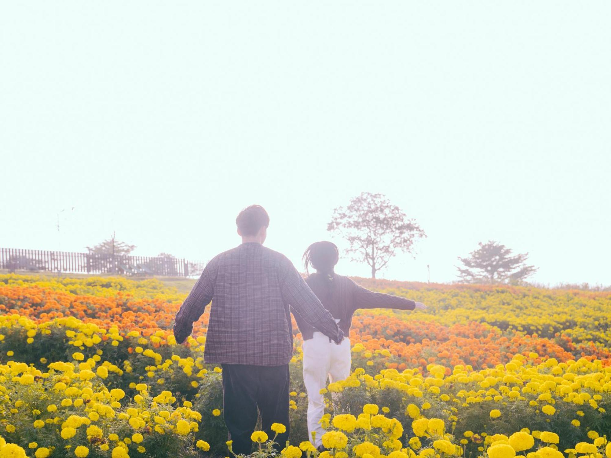 くじゅう花公園　キャンピングリゾート花と星 Kuju Exteriér fotografie