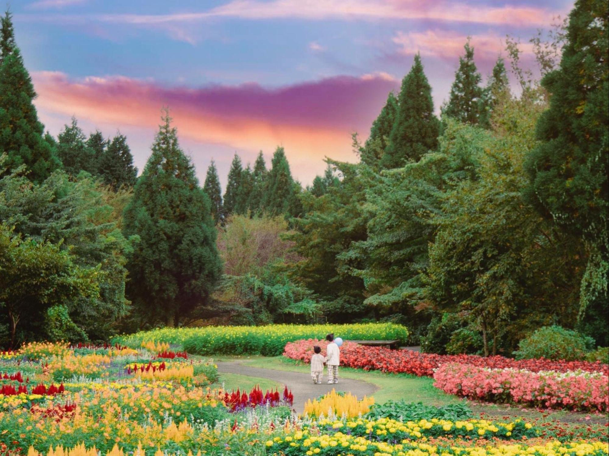くじゅう花公園　キャンピングリゾート花と星 Kuju Exteriér fotografie
